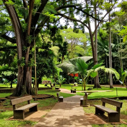 Descubra o Parque Ecológico de Vilas Descubra o Parque Ecológico de Vilas