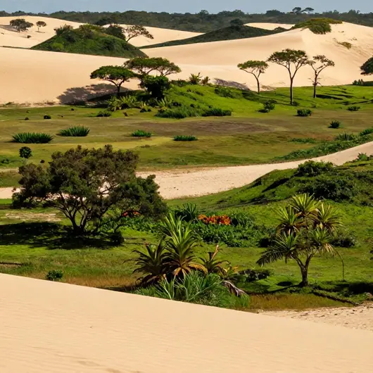 Descubra o Parque Natural Municipal das Dunas